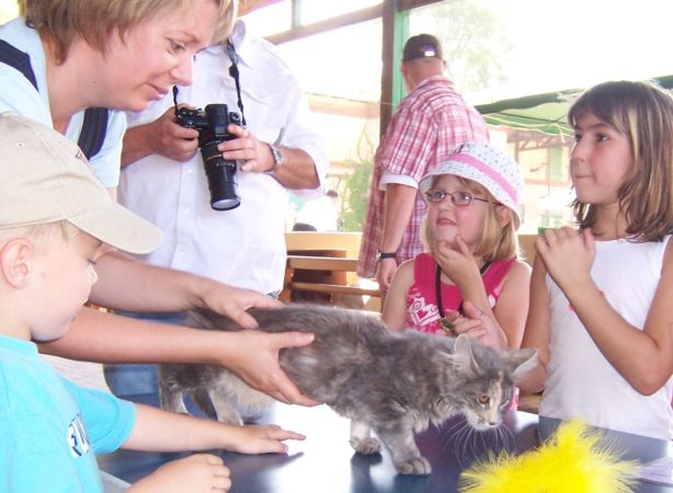 Vanda in Stichelsdorf