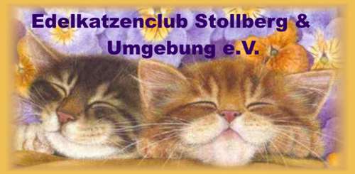 Edelkatzenclub Stollberg und Umgebung e.V.