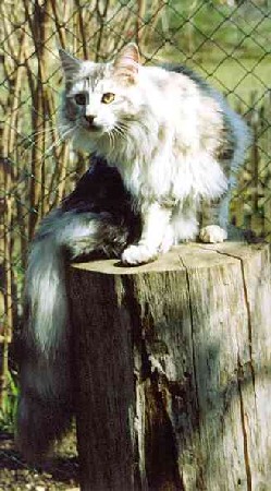 Willow mit 7 1/2 Monaten