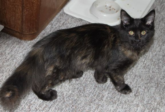 winnie mit 4 Monaten / four months old