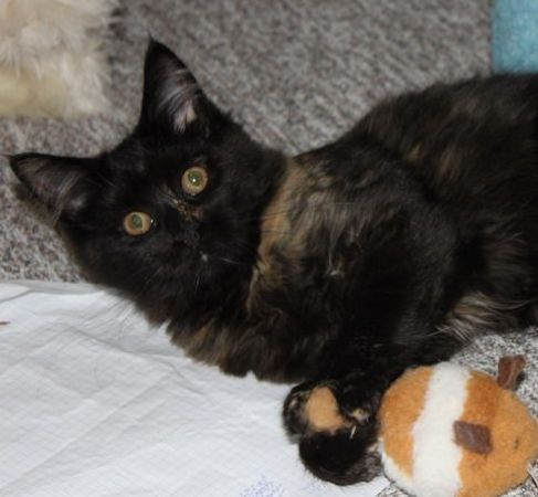 Winnie mit 4 Monaten / four months old