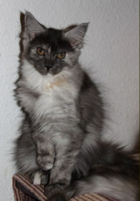 xenia mit 14 Wochen / fourteen weeks old