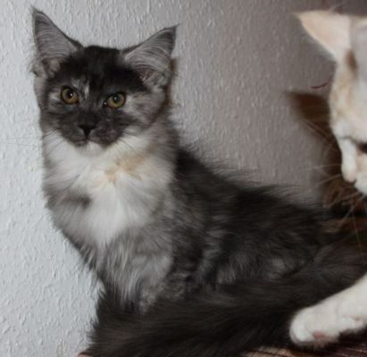 xenia mit 14 Wochen / fourteen weeks old