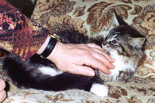 Yakira mit 12 Wochen