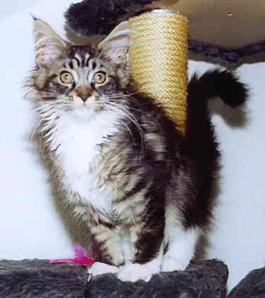 Yakira mit 16 Wochen