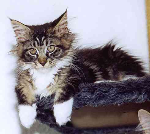 Yakira mit 16 Wochen