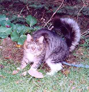 Yakira mit 9 Monaten