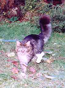 Yakira mit 9 Monaten