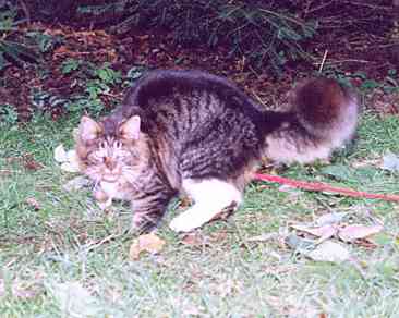 Yakira mit 9 Monaten