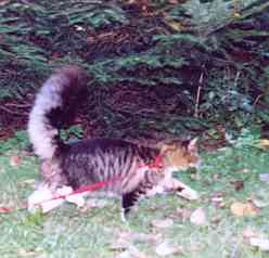 Yakira mit 9 Monaten