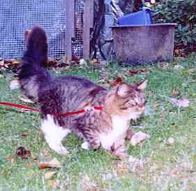 Yakira mit 9 Monaten