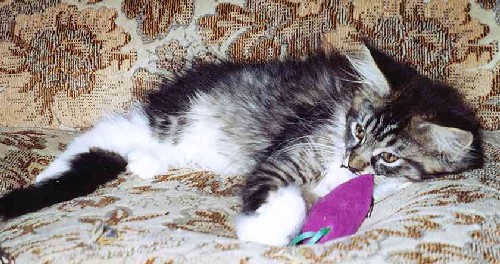 Yakira mit 12 Wochen