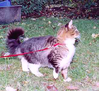 Yakira mit 9 Monaten