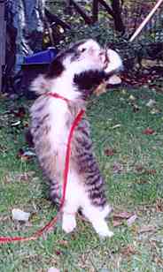 Yakira mit 9 Monaten