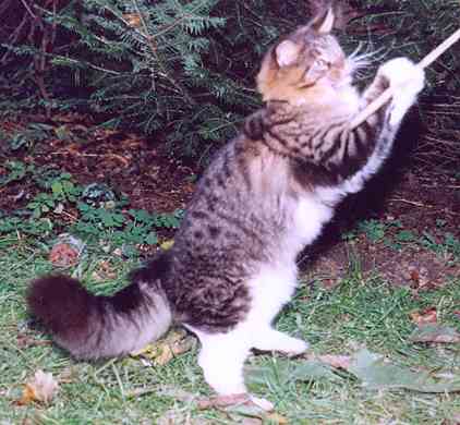 Yakira mit 9 Monaten