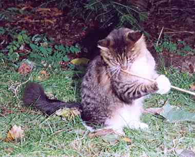 Yakira mit 9 Monaten