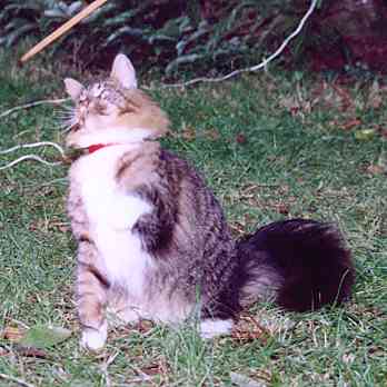 Yakira mit 9 Monaten