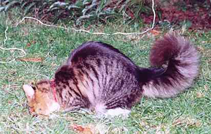 Yakira mit 9 Monaten