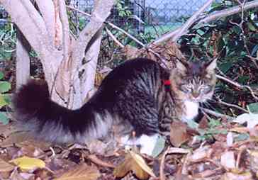 Yakira mit 9 Monaten