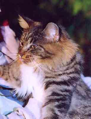 Yakira mit 9 Monaten