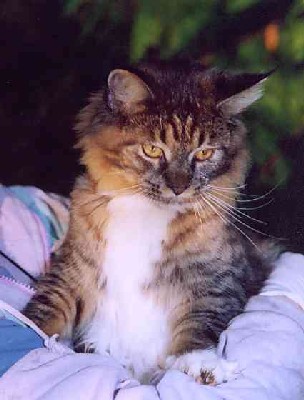 Yakira mit 9 Monaten