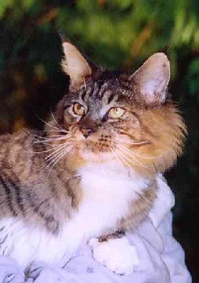 Yakira mit 9 Monaten