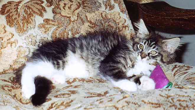 Yakira mit 12 Wochen