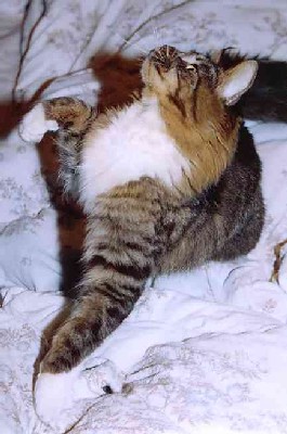 Yakira mit 9 Monaten