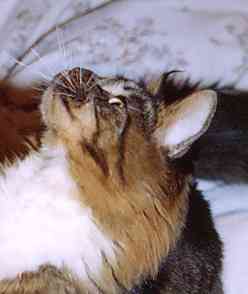 Yakira mit 9 Monaten