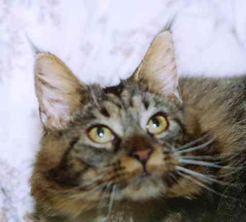 Yakira mit 9 Monaten