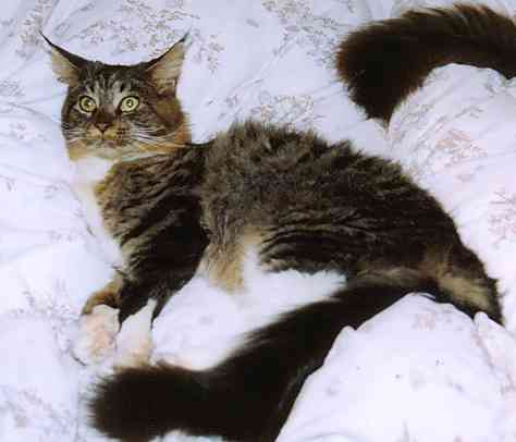 Yakira mit 9 Monaten