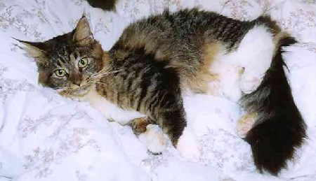 Yakira mit 9 Monaten