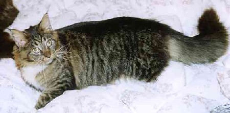 Yakira mit 9 Monaten