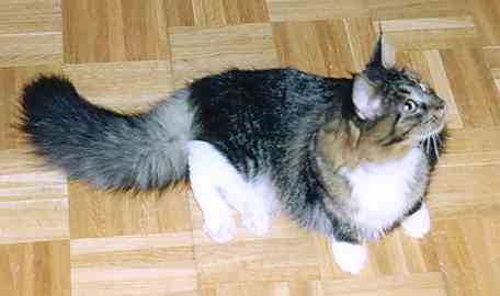 Yakira mit 9 Monaten