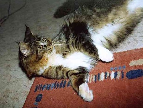 Yakira mit 10 Monaten