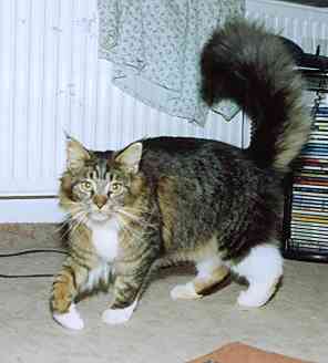 Yakira mit 10 Monaten