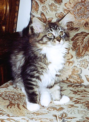 Yakira mit 12 Wochen