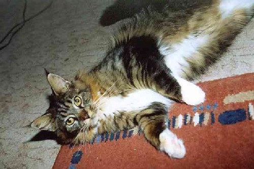 Yakira mit 10 Monaten