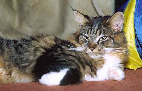 Yakira mit 10 Monaten