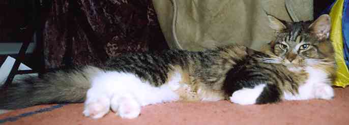 Yakira mit 10 Monaten