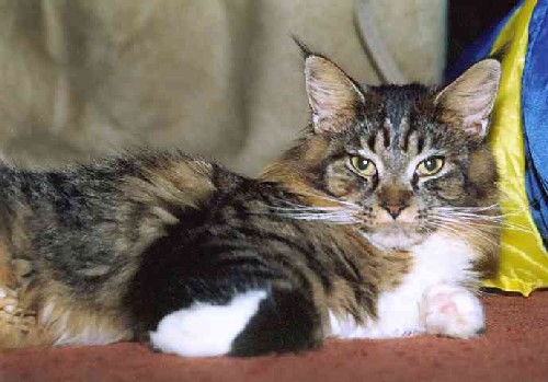 Yakira mit 10 Monaten