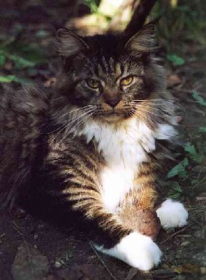 Yakira mit einem Jahr und 10 Monaten