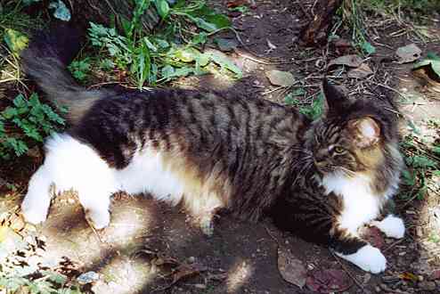 Yakira mit einem Jahr und 10 Monaten