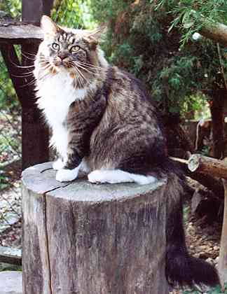 Yakira mit einem Jahr und 10 Monaten