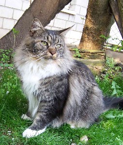 Yakira mit zwei Jahren / two years old