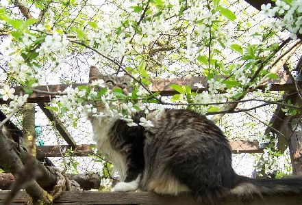 Yakira mit zwei Jahren / two years old