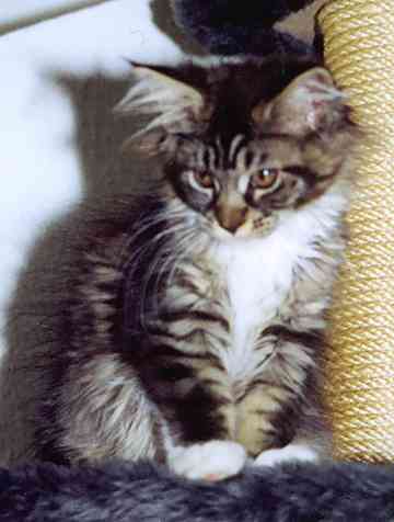 Yakira mit 16 Wochen