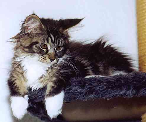 Yakira mit 16 Wochen