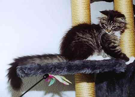 Yakira mit 16 Wochen