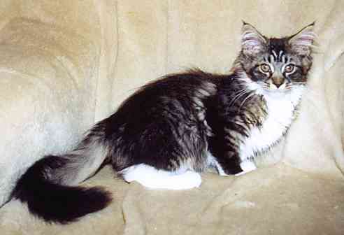 Yakira mit 16 Wochen